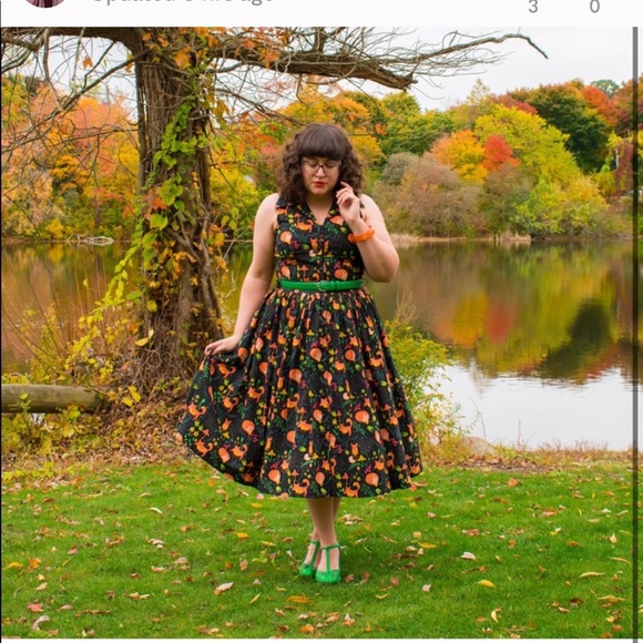 Meet your Posher, Harley - Picture 3 of 3